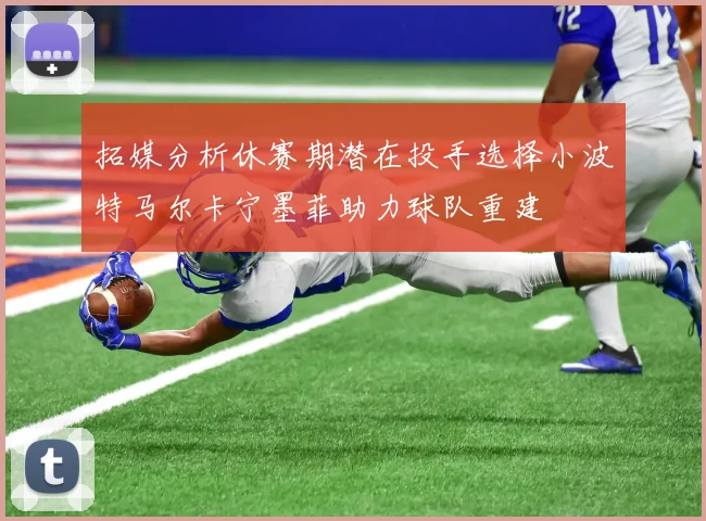 拓媒分析休赛期潜在投手选择小波特马尔卡宁墨菲助力球队重建