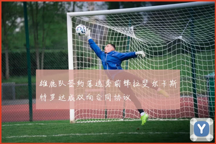 雄鹿队签约落选秀前锋拉斐尔卡斯特罗达成双向合同协议